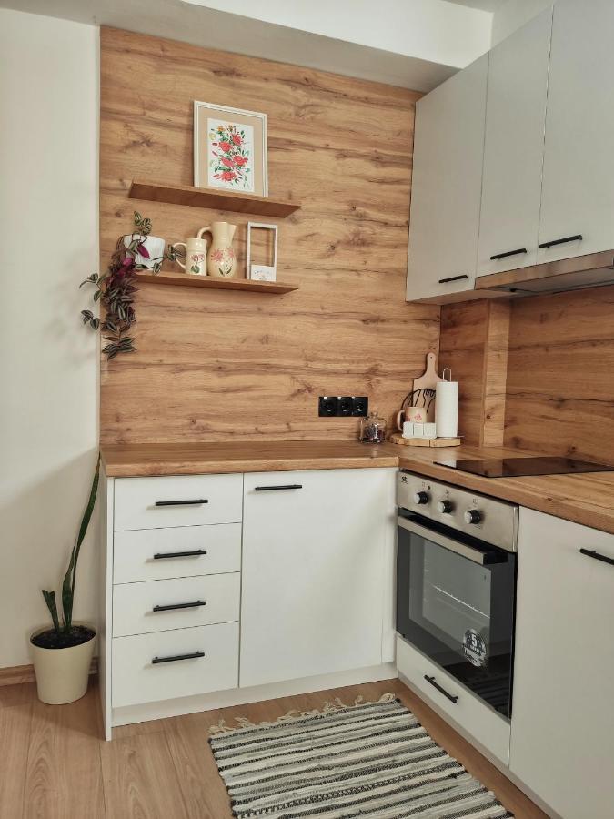 Marko'S Apartment أوهغيد المظهر الخارجي الصورة